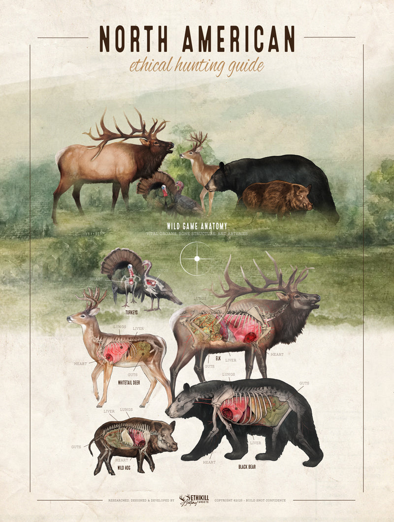 Ethical Hunting Guide Art Print 18x24 - North American Animals - Anatomy Illustration