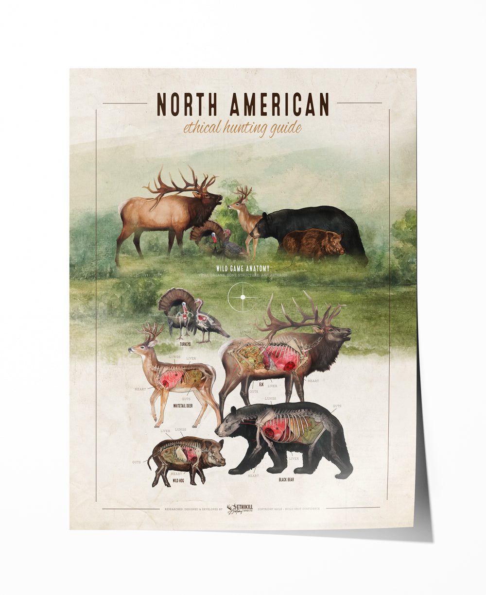 Ethical Hunting Guide Art Print 18x24 - North American Animals - Anatomy Illustration