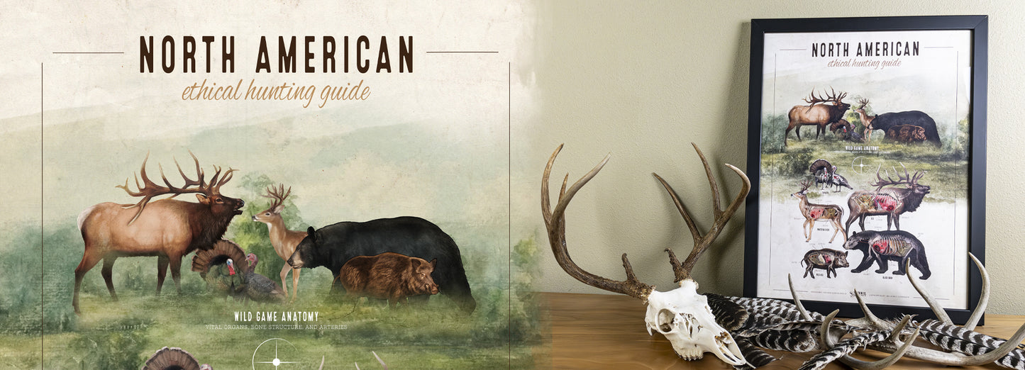 Ethical Hunting Guide Art Print 18x24 - North American Animals - Anatomy Illustration