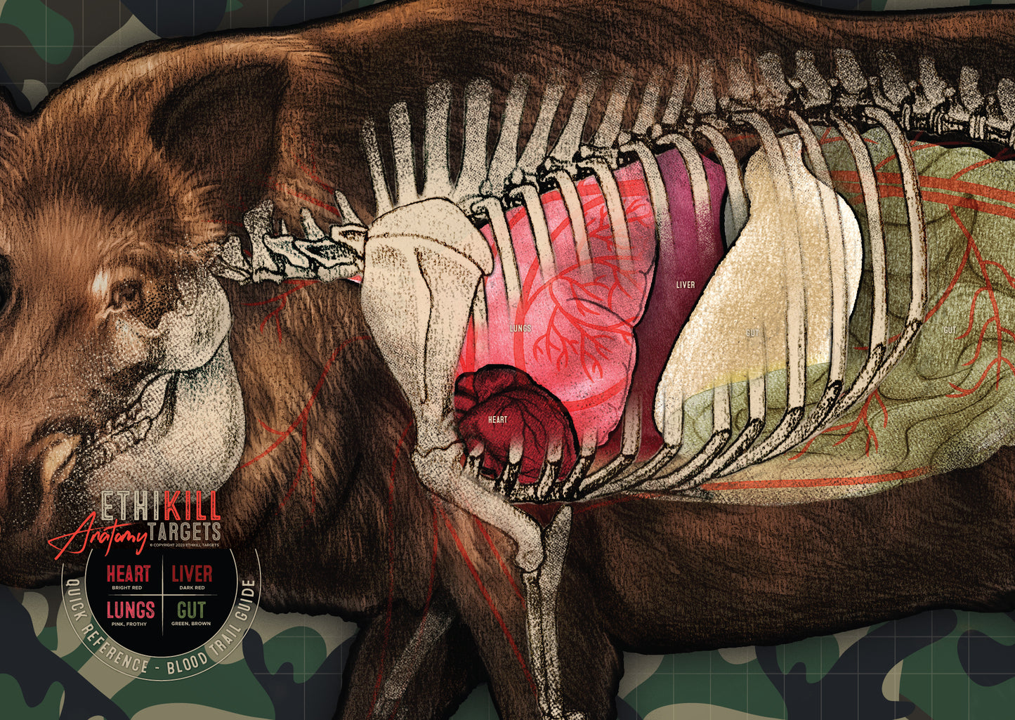 5 Pack of 2 Sided Wild Hog Targets - 18x26 Inches