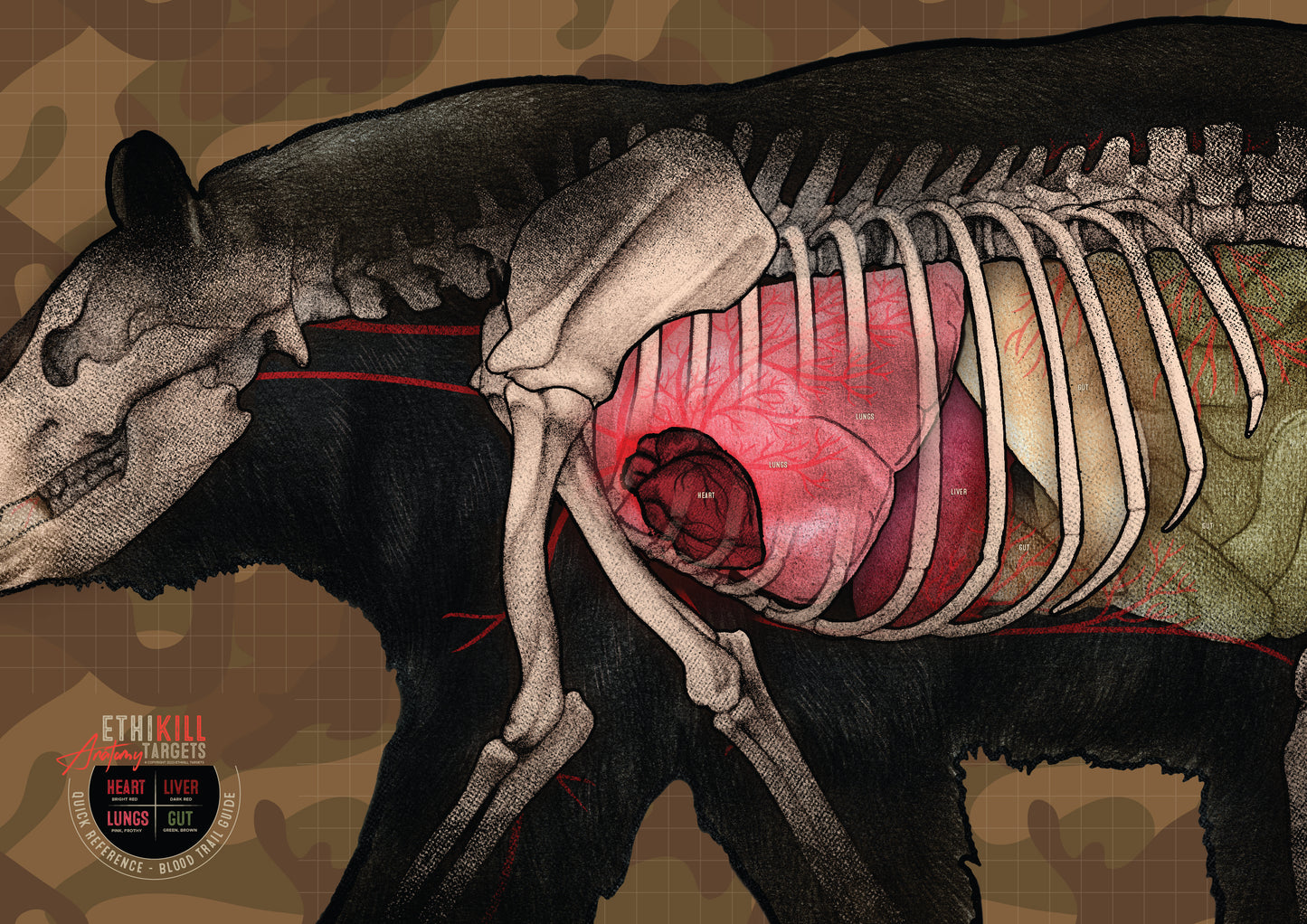 3 Pack of 2 Sided Black Bear Targets - 27x39 Inches