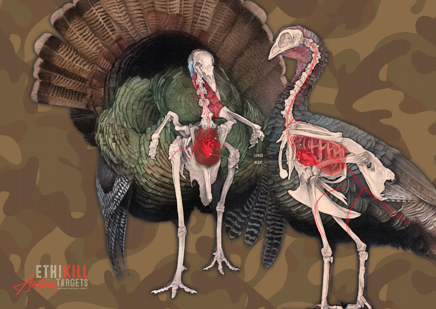 5 Pack of 2 Sided Turkey Targets - 18x26 Inches